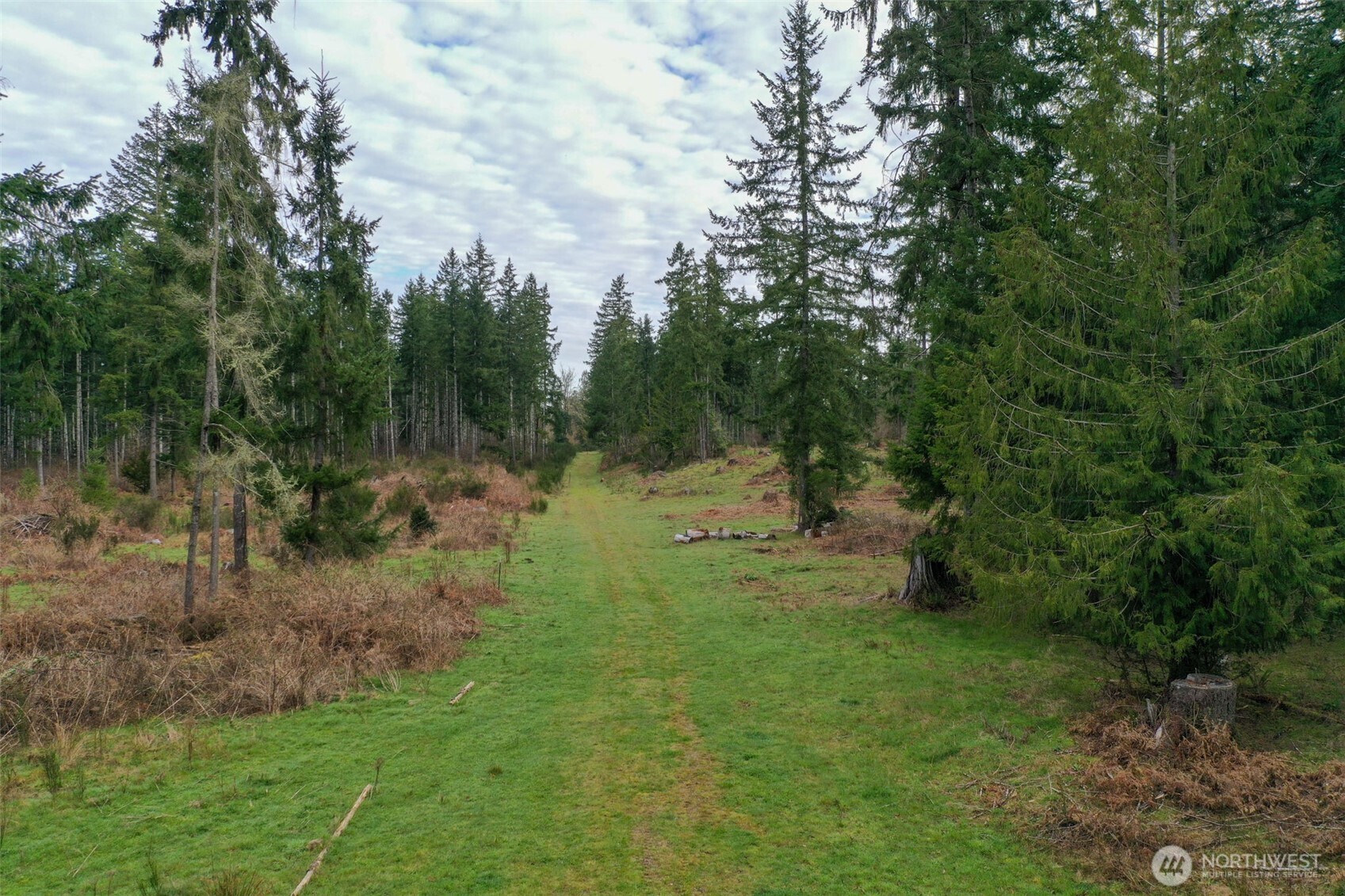 7128 115th Avenue SW, Olympia, WA 98512