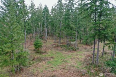 7128 115th Avenue SW, Olympia, WA 98512 - Photo 18