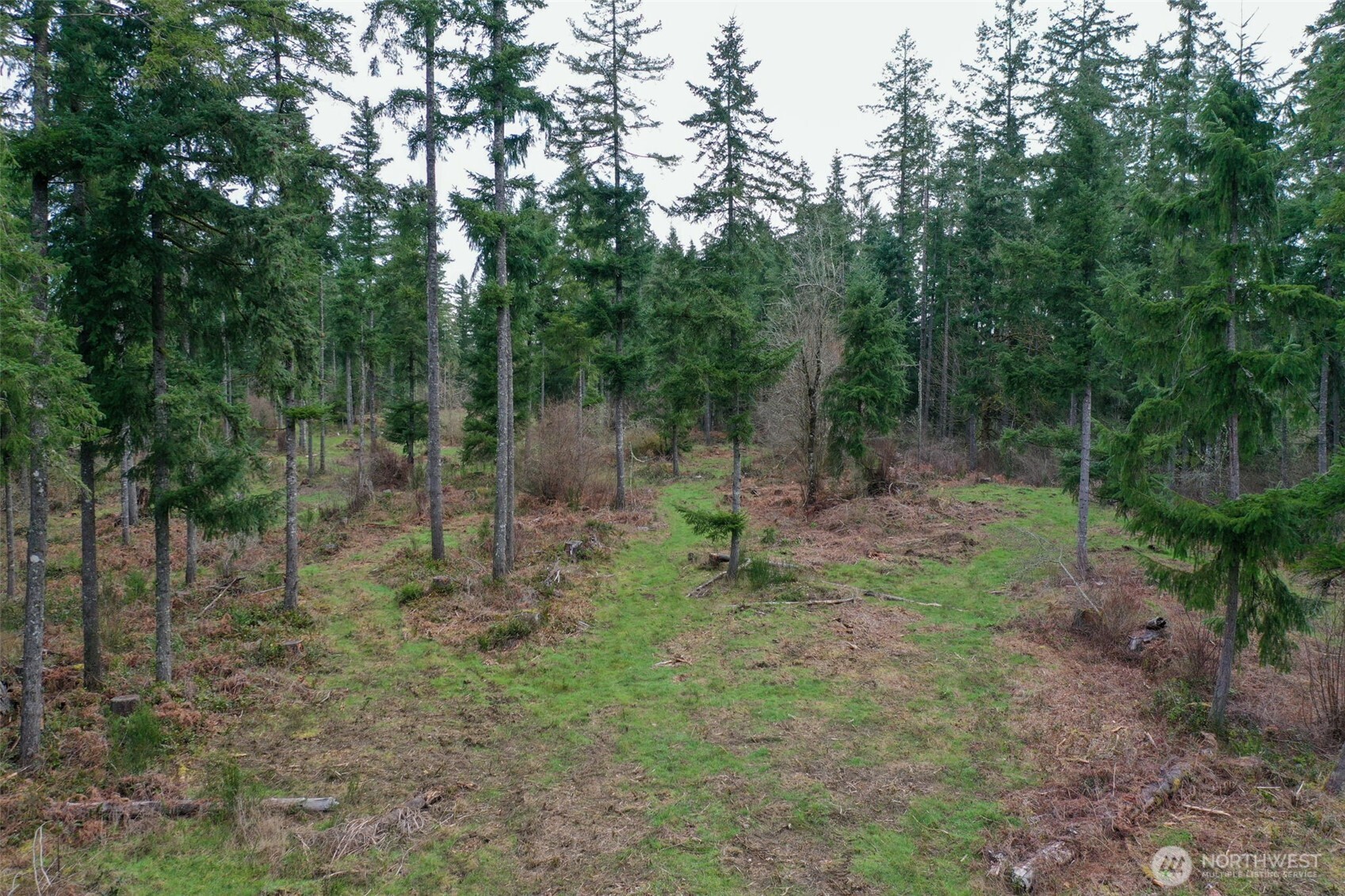 7128 115th Avenue SW, Olympia, WA 98512