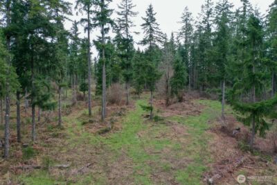 7128 115th Avenue SW, Olympia, WA 98512 - Photo 20