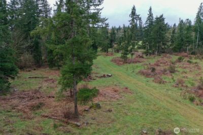 7128 115th Avenue SW, Olympia, WA 98512 - Photo 21