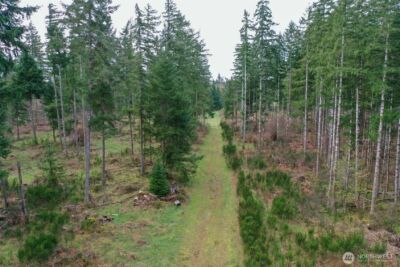 7128 115th Avenue SW, Olympia, WA 98512 - Photo 22