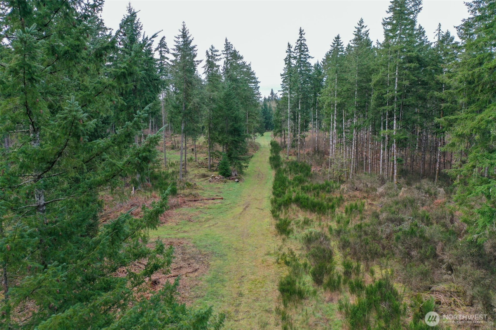 7128 115th Avenue SW, Olympia, WA 98512