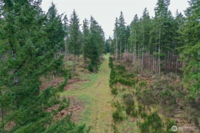 7128 115th Avenue SW, Olympia, WA 98512 - Photo 23