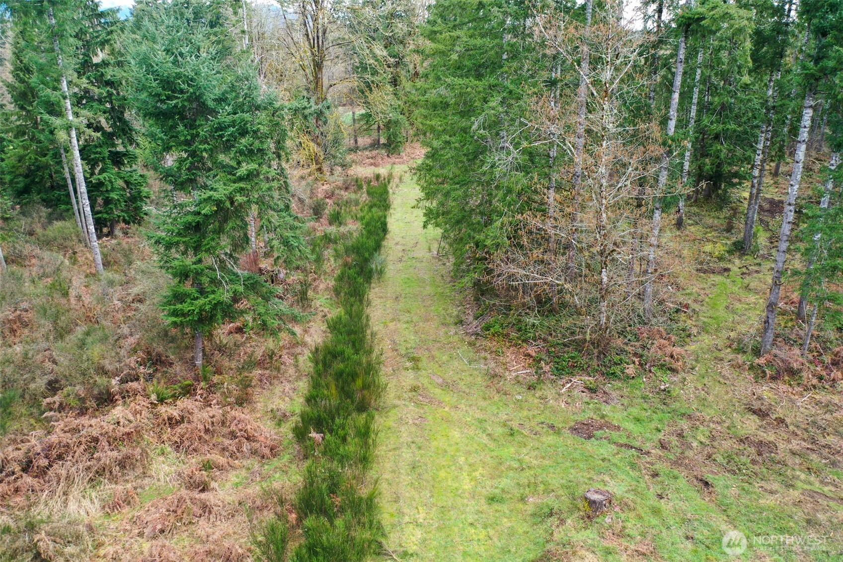 7128 115th Avenue SW, Olympia, WA 98512