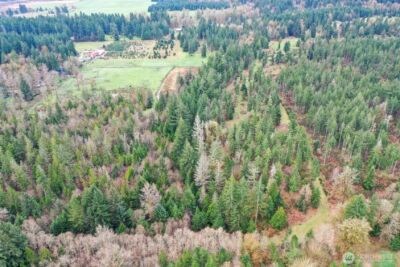 7128 115th Avenue SW, Olympia, WA 98512 - Photo 30