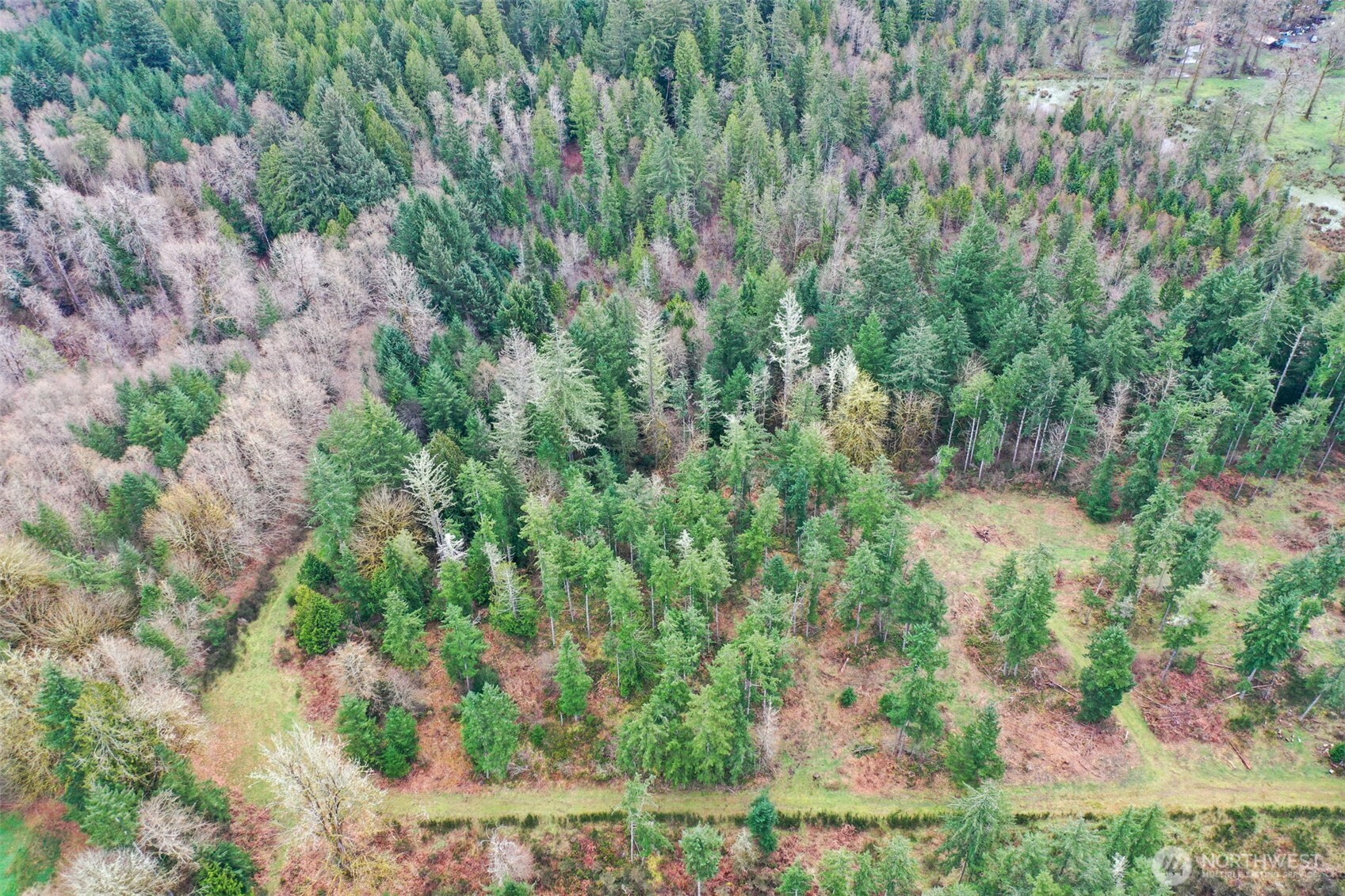 7128 115th Avenue SW, Olympia, WA 98512