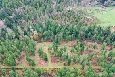 7128 115th Avenue SW, Olympia, WA 98512 - Photo 33