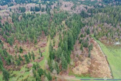 7128 115th Avenue SW, Olympia, WA 98512 - Photo 36