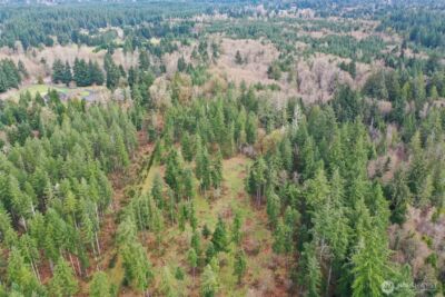 7128 115th Avenue SW, Olympia, WA 98512 - Photo 4