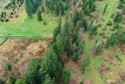 7128 115th Avenue SW, Olympia, WA 98512 - Photo 5