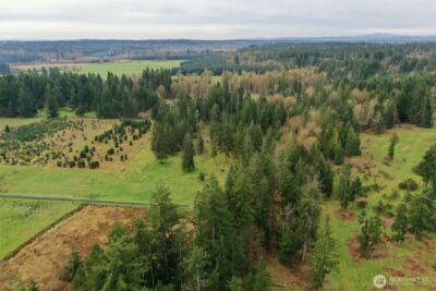 7128 115th Avenue SW, Olympia, WA 98512 - Photo 6