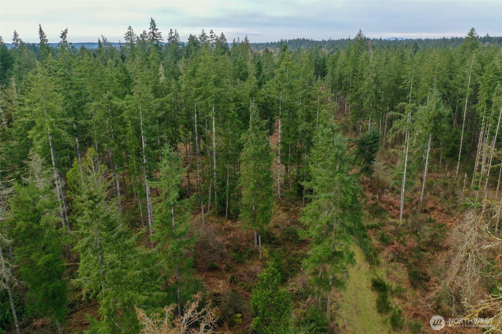 7128 115th Avenue SW, Olympia, WA 98512