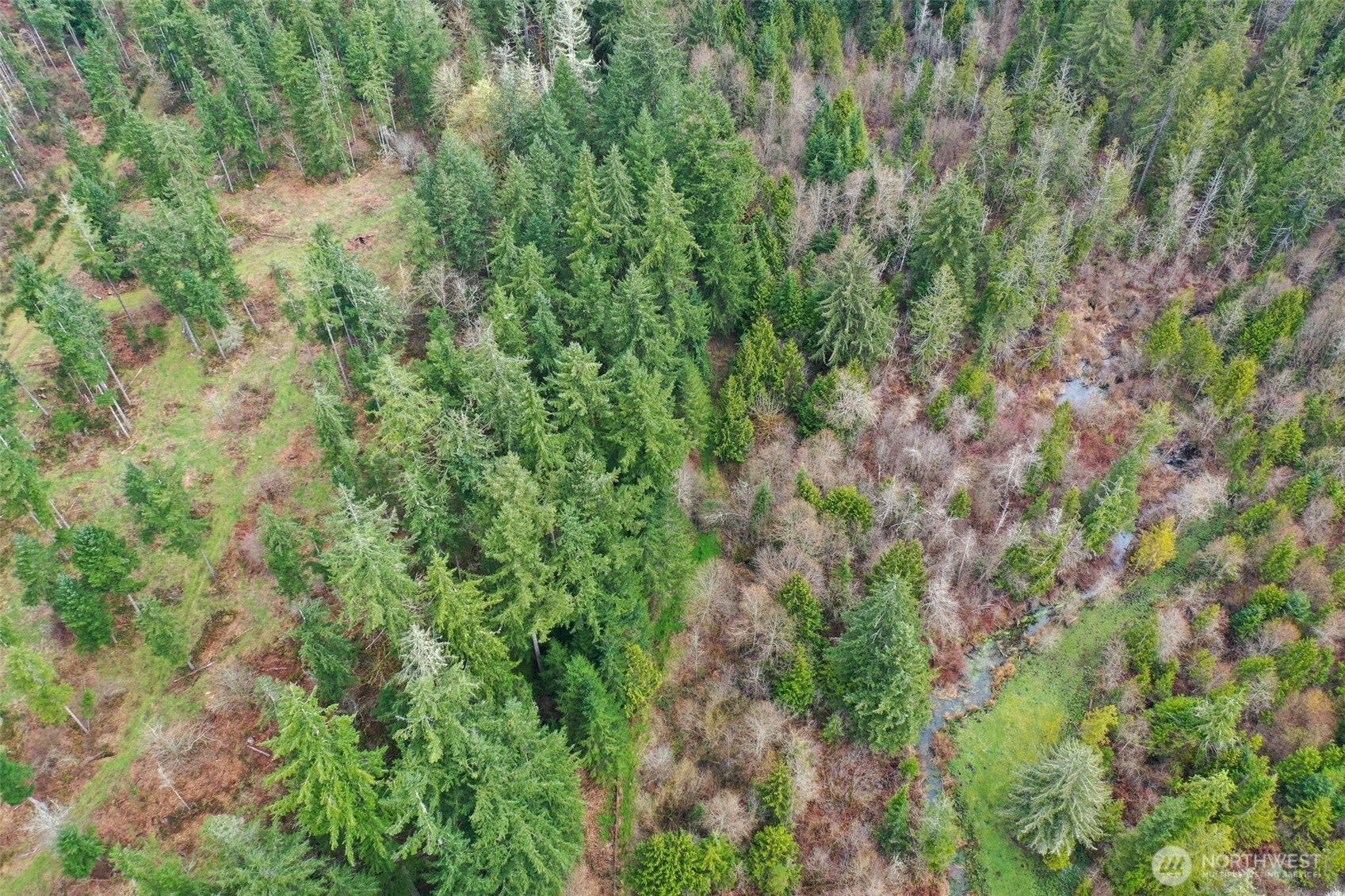 7128 115th Avenue SW, Olympia, WA 98512