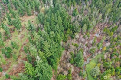 7128 115th Avenue SW, Olympia, WA 98512 - Photo 10