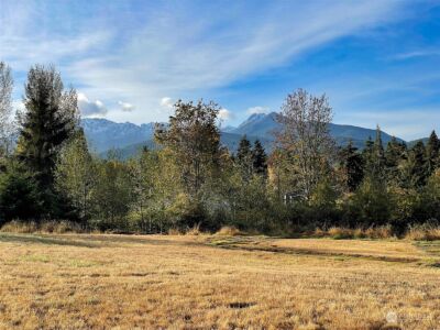 9999 E Park Avenue , Port Angeles, WA 98362 - Photo 35