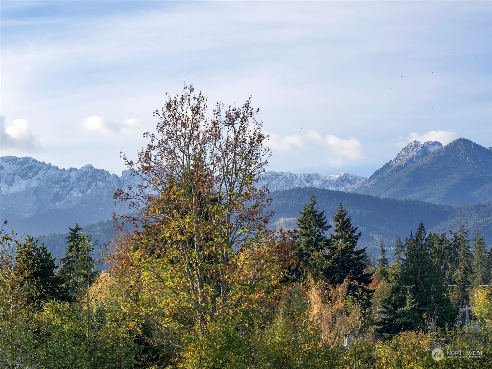 9999 E Park Avenue , Port Angeles, WA 98362