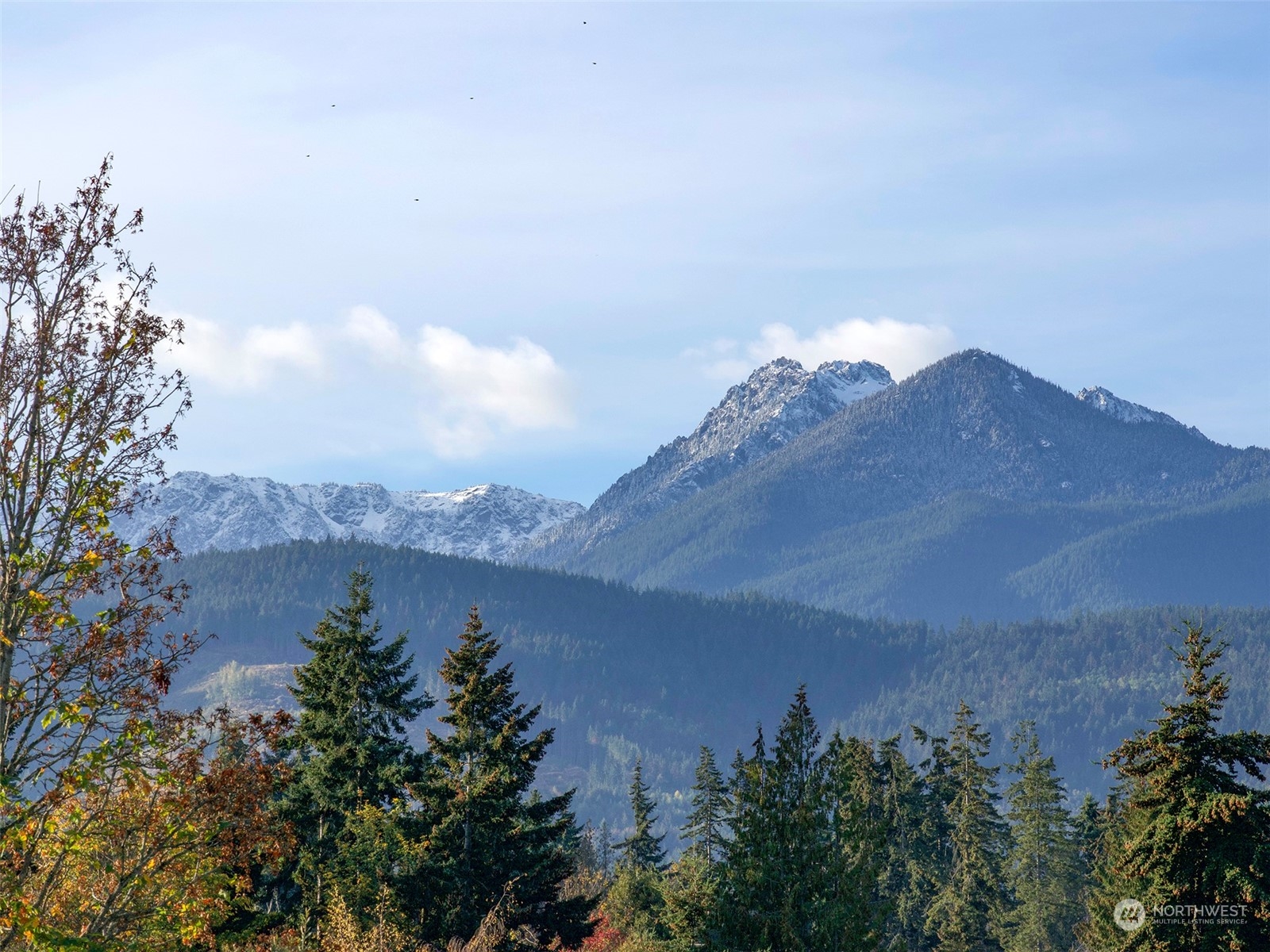 9999 E Park Avenue , Port Angeles, WA 98362