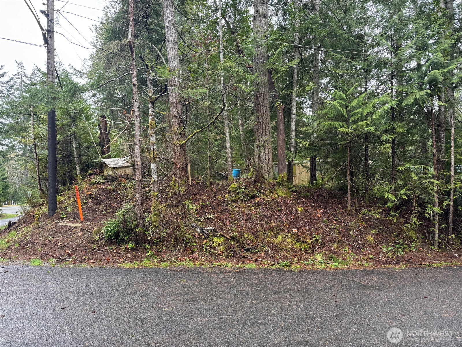 11 Bayview Court , Brinnon, WA 98320-9648