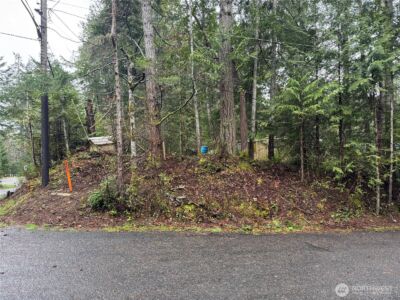 11 Bayview Court , Brinnon, WA 98320-9648