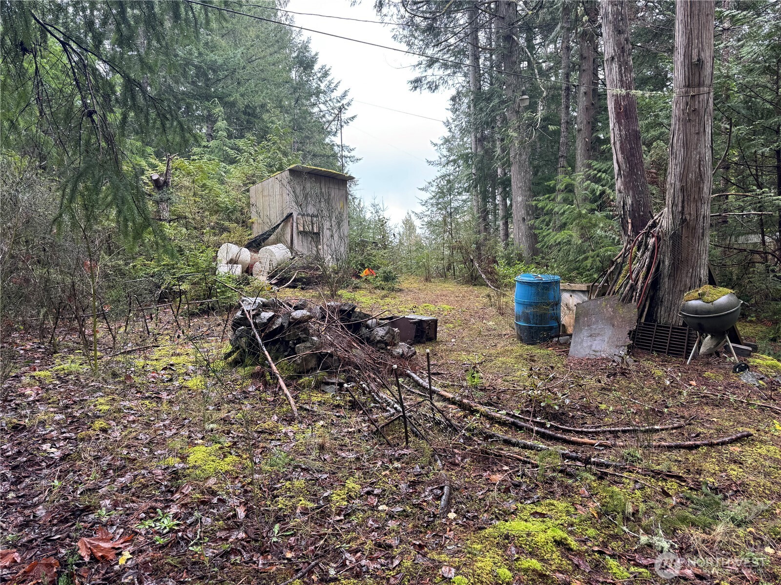 11 Bayview Court , Brinnon, WA 98320-9648