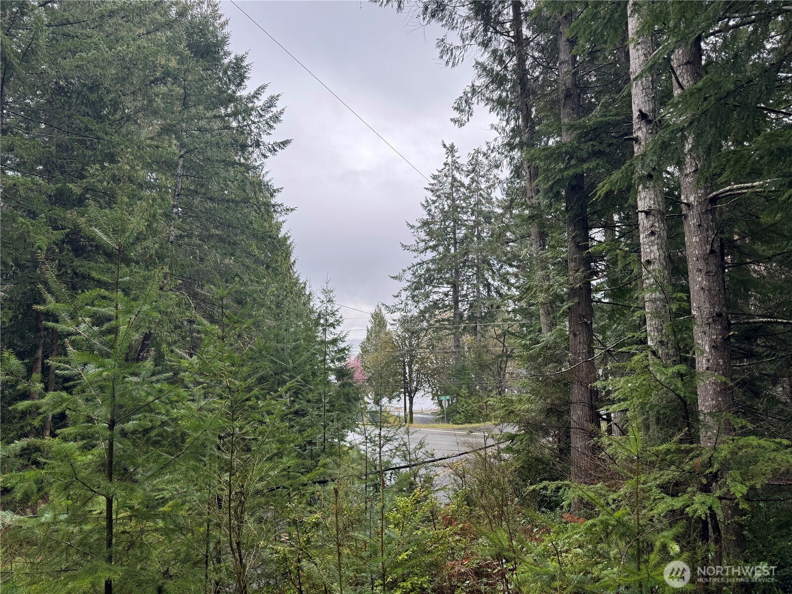 11 Bayview Court , Brinnon, WA 98320-9648