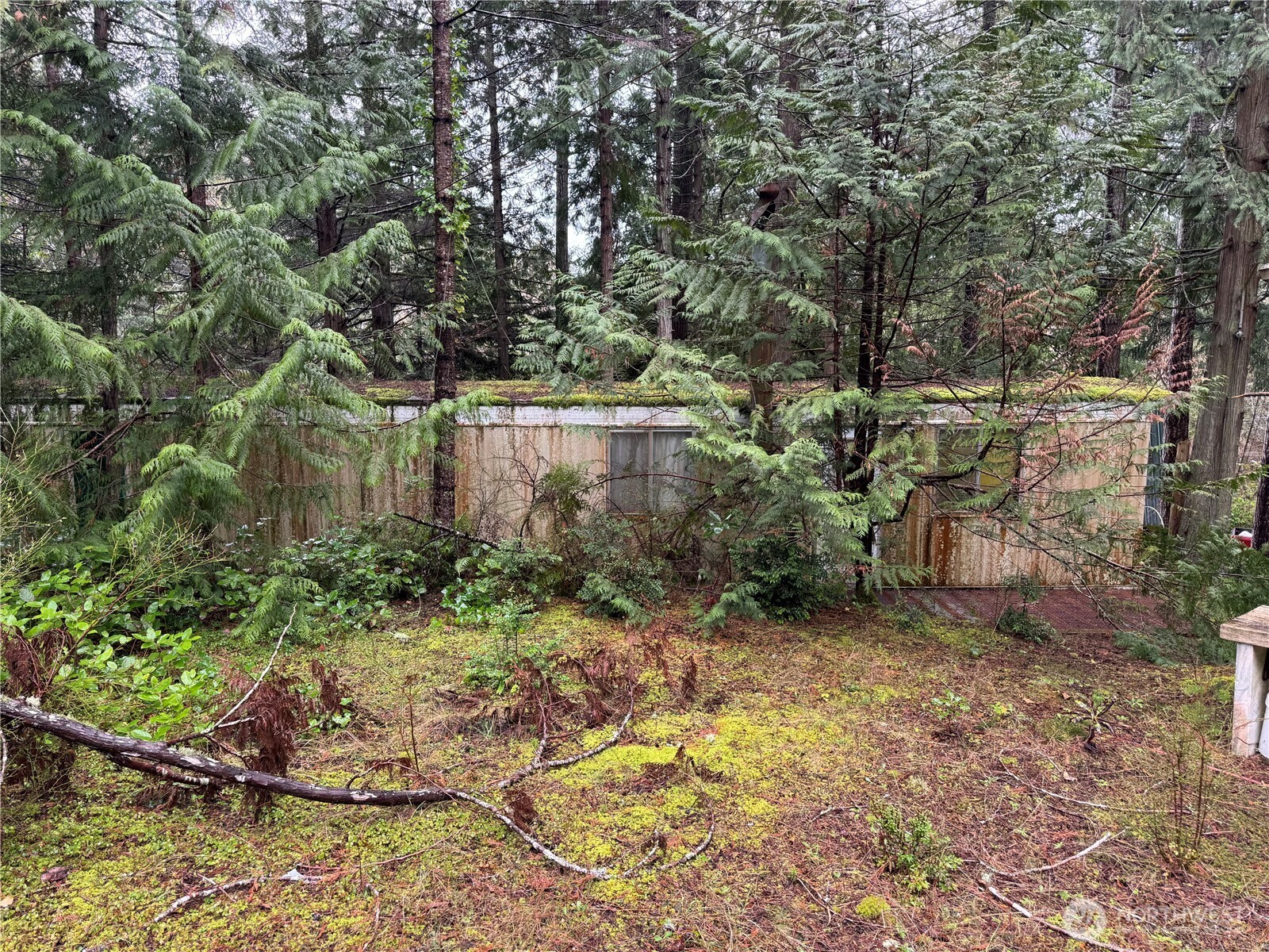 11 Bayview Court , Brinnon, WA 98320-9648