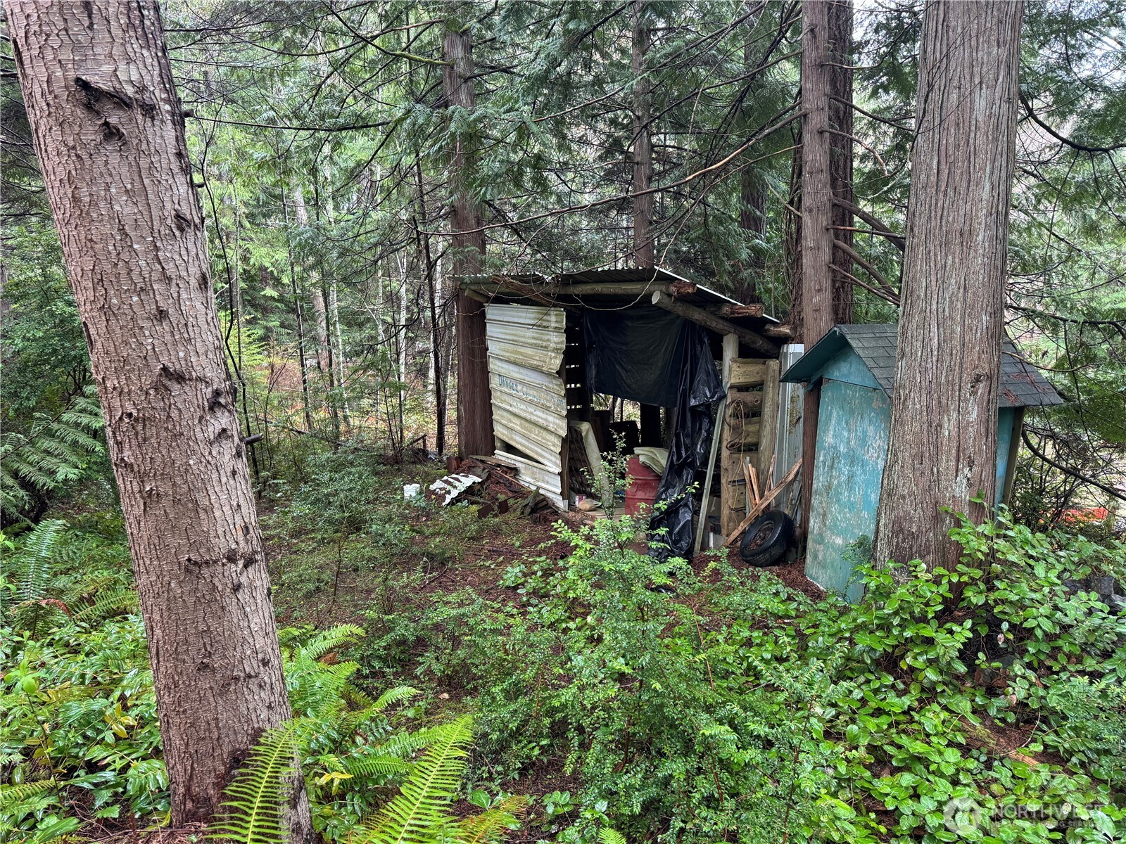 11 Bayview Court , Brinnon, WA 98320-9648