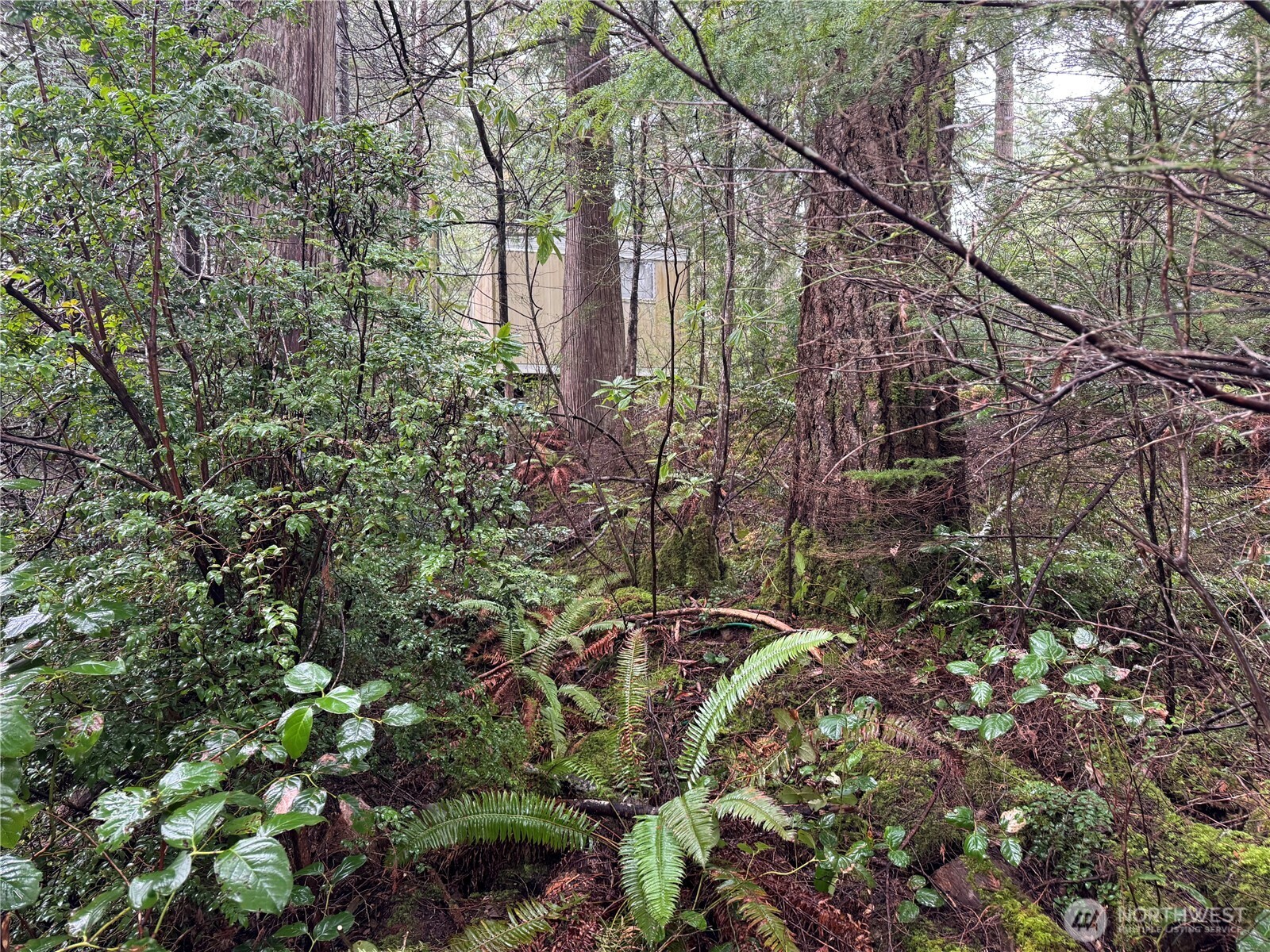 11 Bayview Court , Brinnon, WA 98320-9648