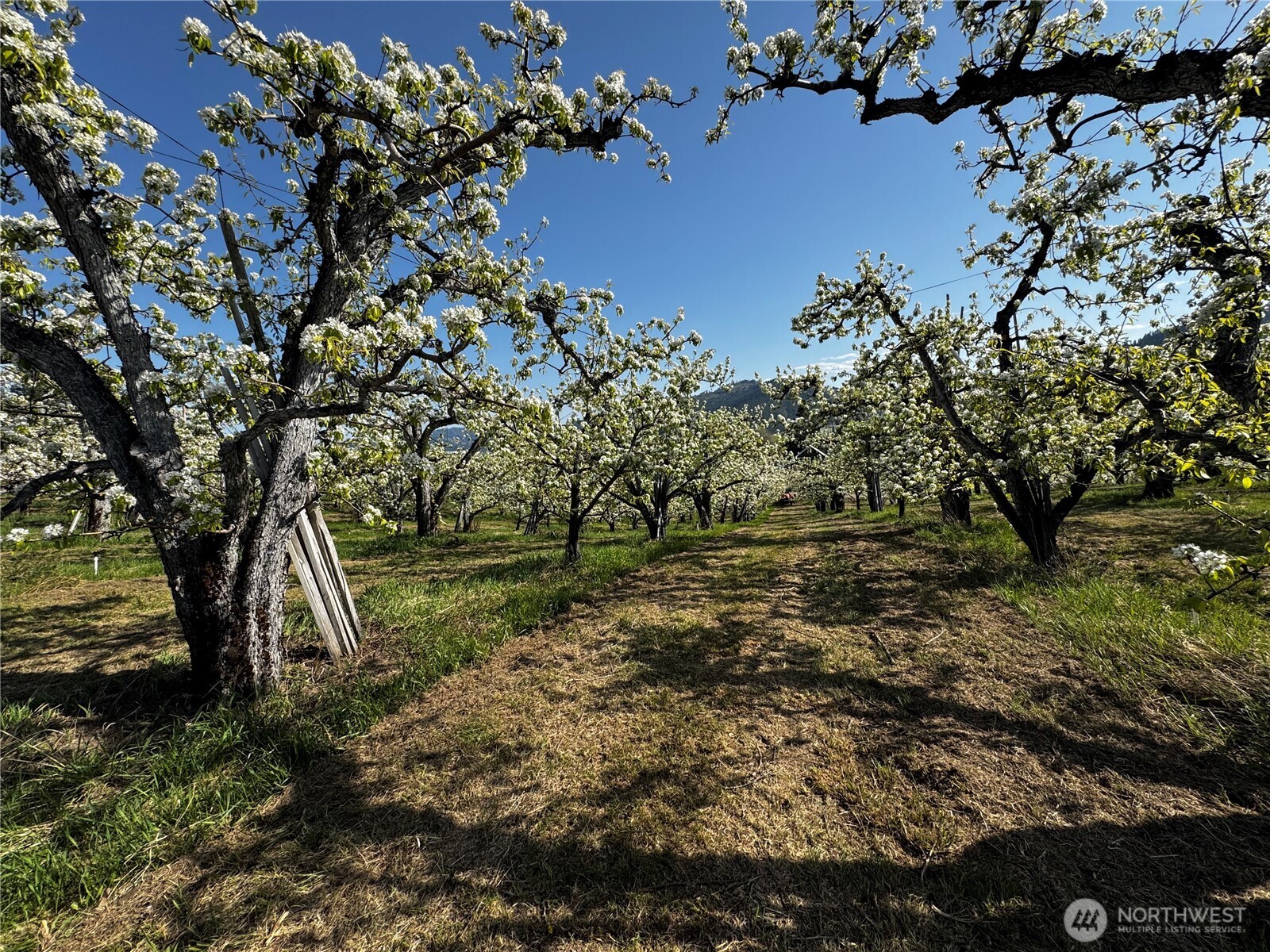 8612 Ludwig Hill Road , Peshastin, WA 98847