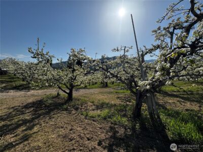 8612 Ludwig Hill Road , Peshastin, WA 98847 - Photo 21