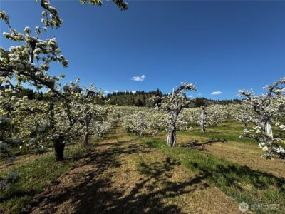 8612 Ludwig Hill Road , Peshastin, WA 98847 - Photo 24