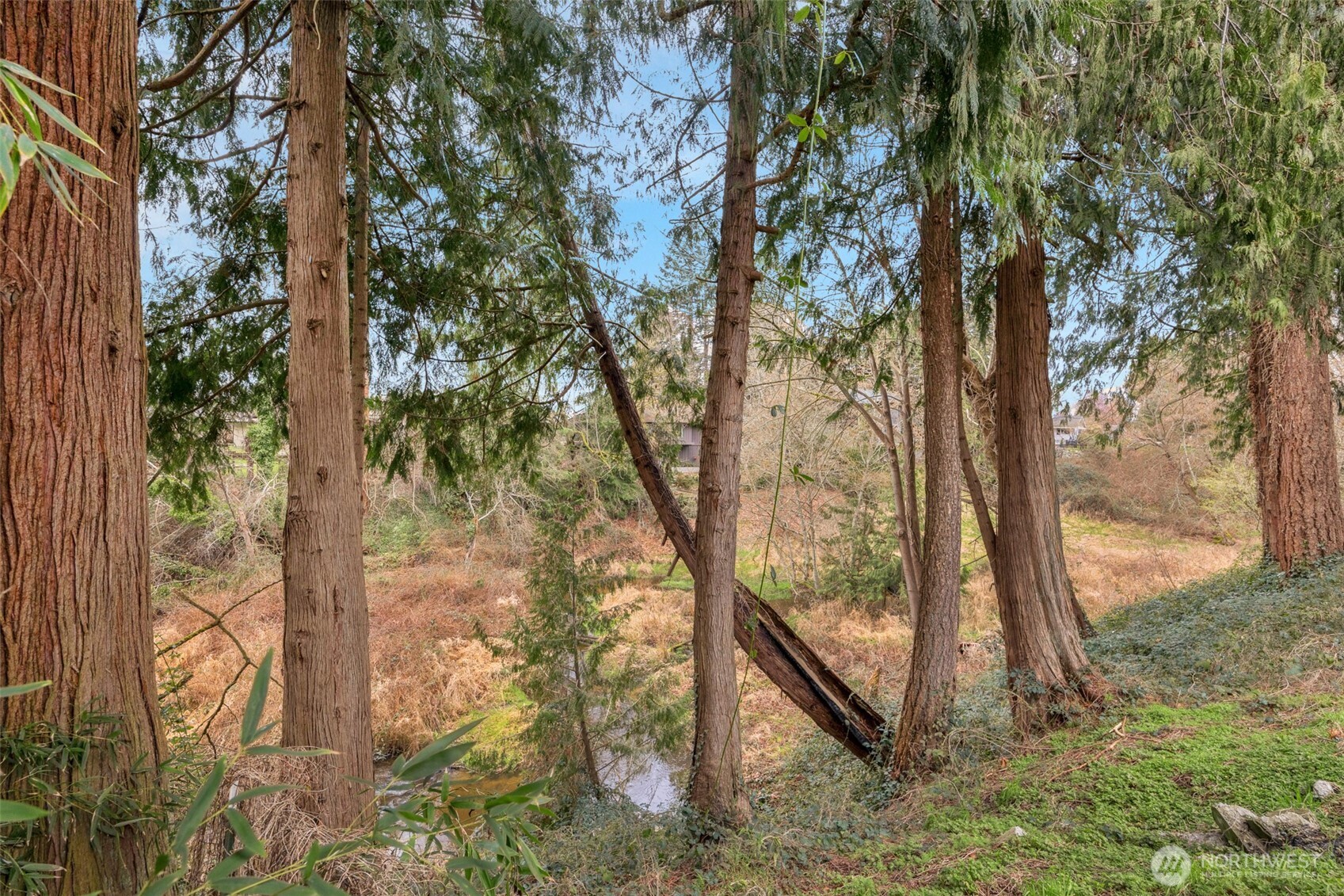 7818 56th Drive NE, Marysville, WA 98270