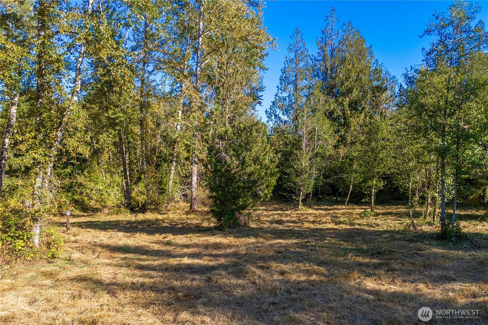 5405 398th Street E, Eatonville, WA 98328