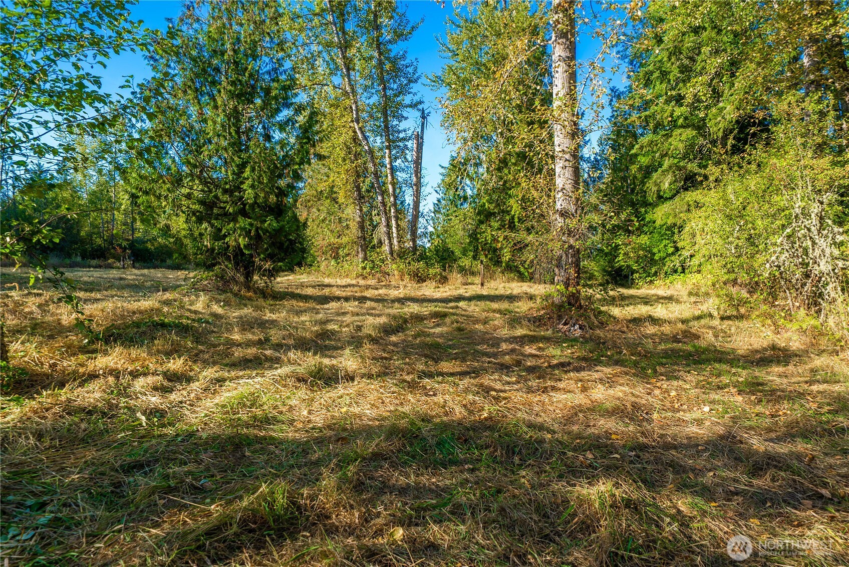 5405 398th Street E, Eatonville, WA 98328