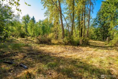 5405 398th Street E, Eatonville, WA 98328 - Photo 7