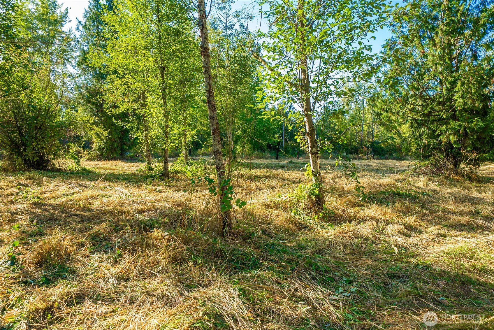 5405 398th Street E, Eatonville, WA 98328