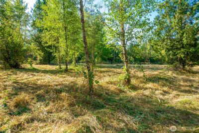 5405 398th Street E, Eatonville, WA 98328 - Photo 8