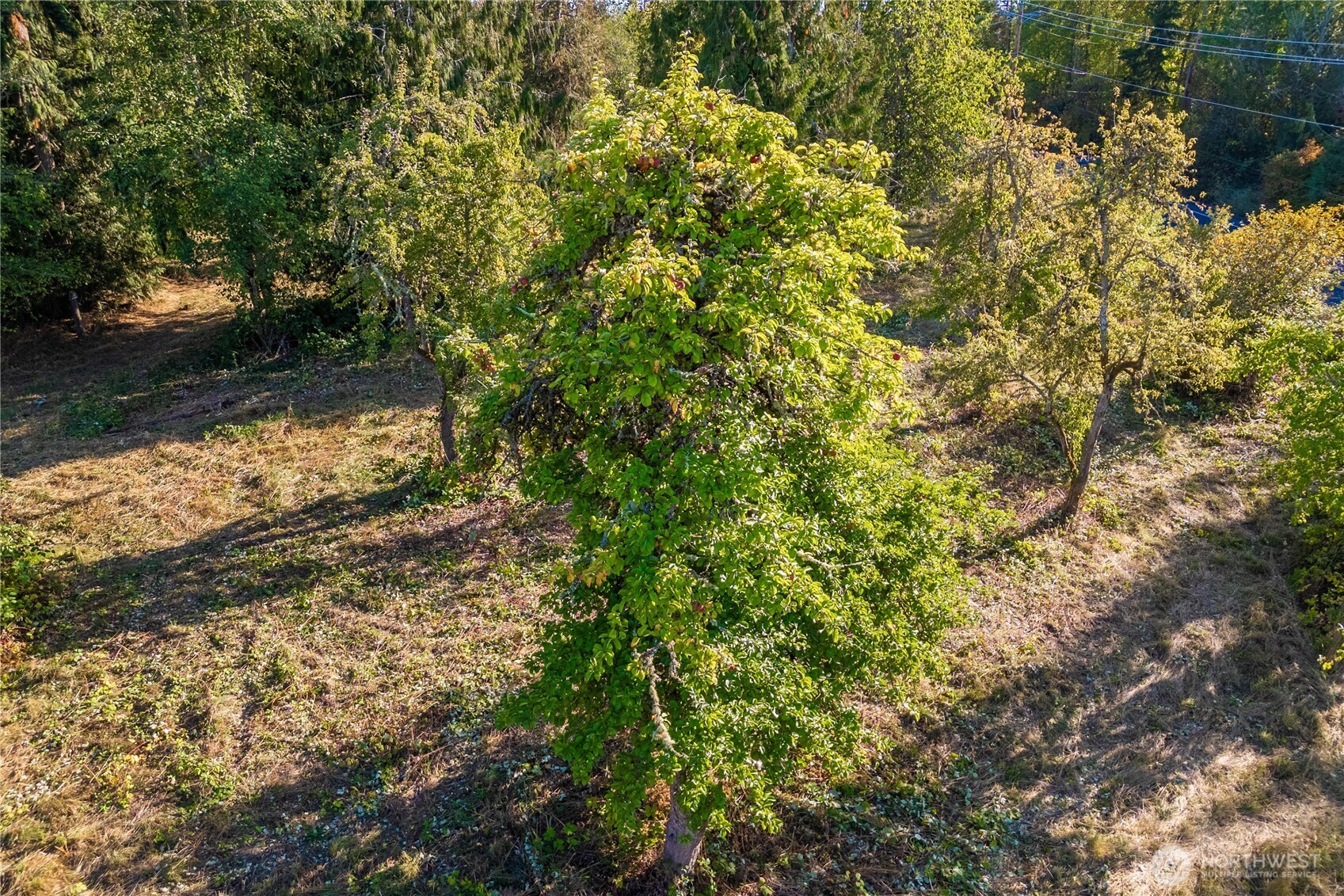 5405 398th Street E, Eatonville, WA 98328