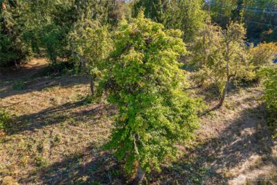 5405 398th Street E, Eatonville, WA 98328 - Photo 9