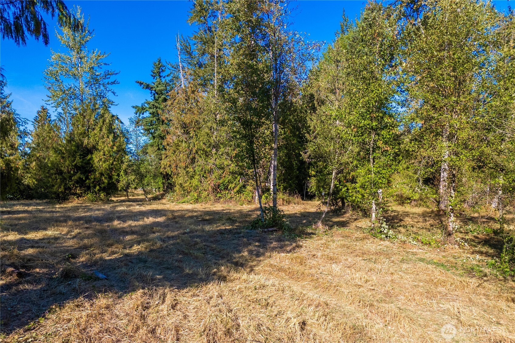 5405 398th Street E, Eatonville, WA 98328