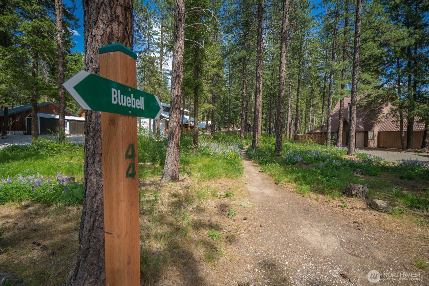 25312 Saddle Street , Leavenworth, WA 98826