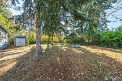 8517 Thuja Avenue SE, Yelm, WA 98597-9766 - Photo 24