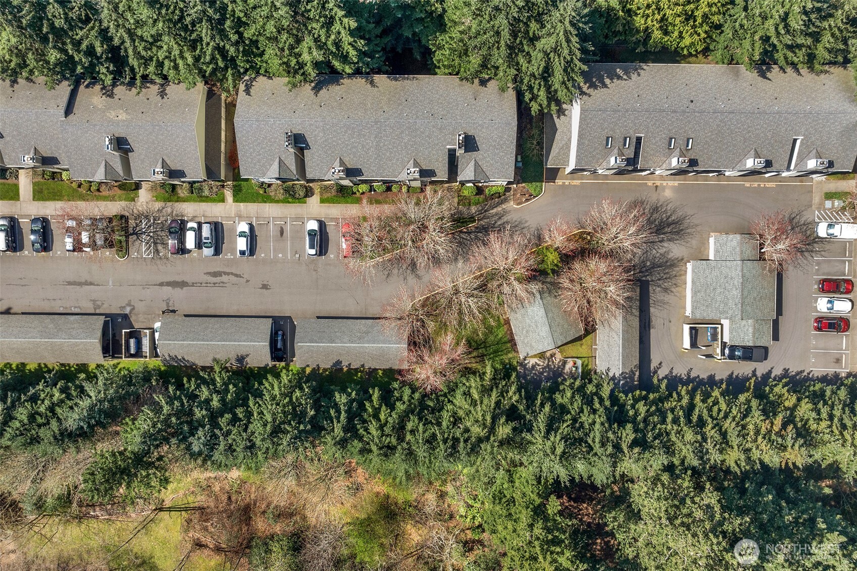 6527 200th Street SW #304, Lynnwood, WA 98036