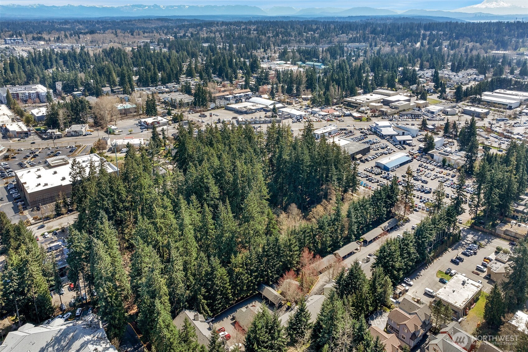 6527 200th Street SW #304, Lynnwood, WA 98036