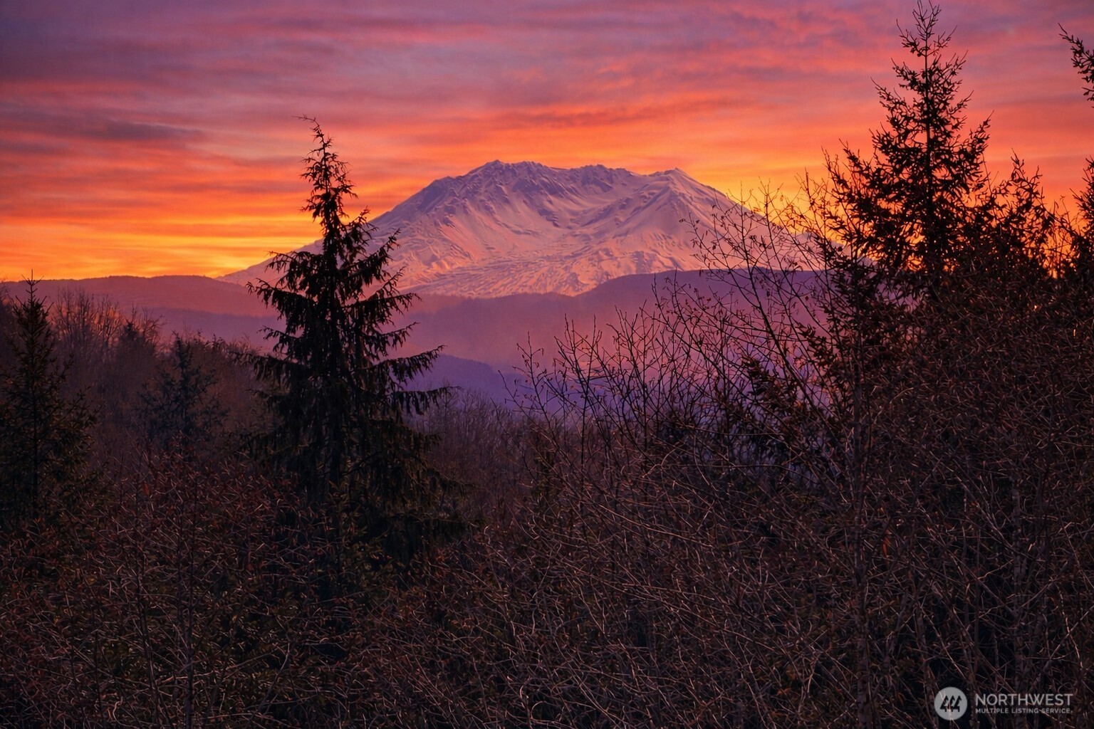 418 August Road , Onalaska, WA 98570