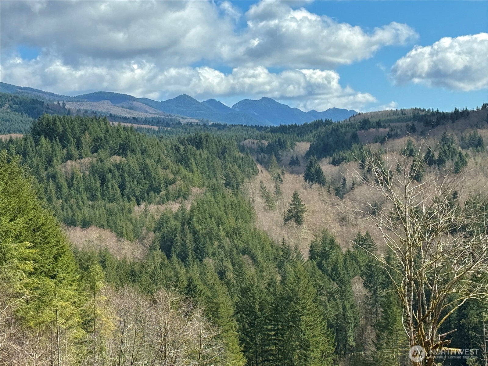 418 August Road , Onalaska, WA 98570