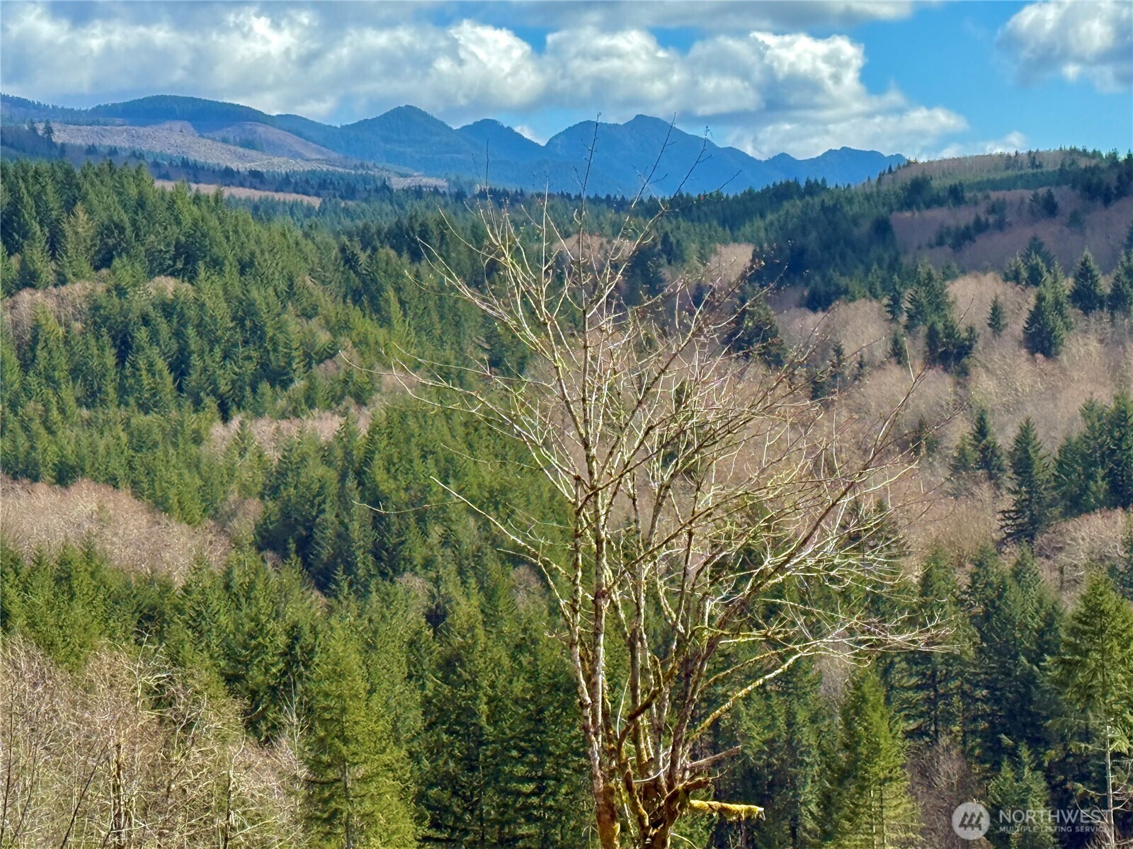 418 August Road , Onalaska, WA 98570