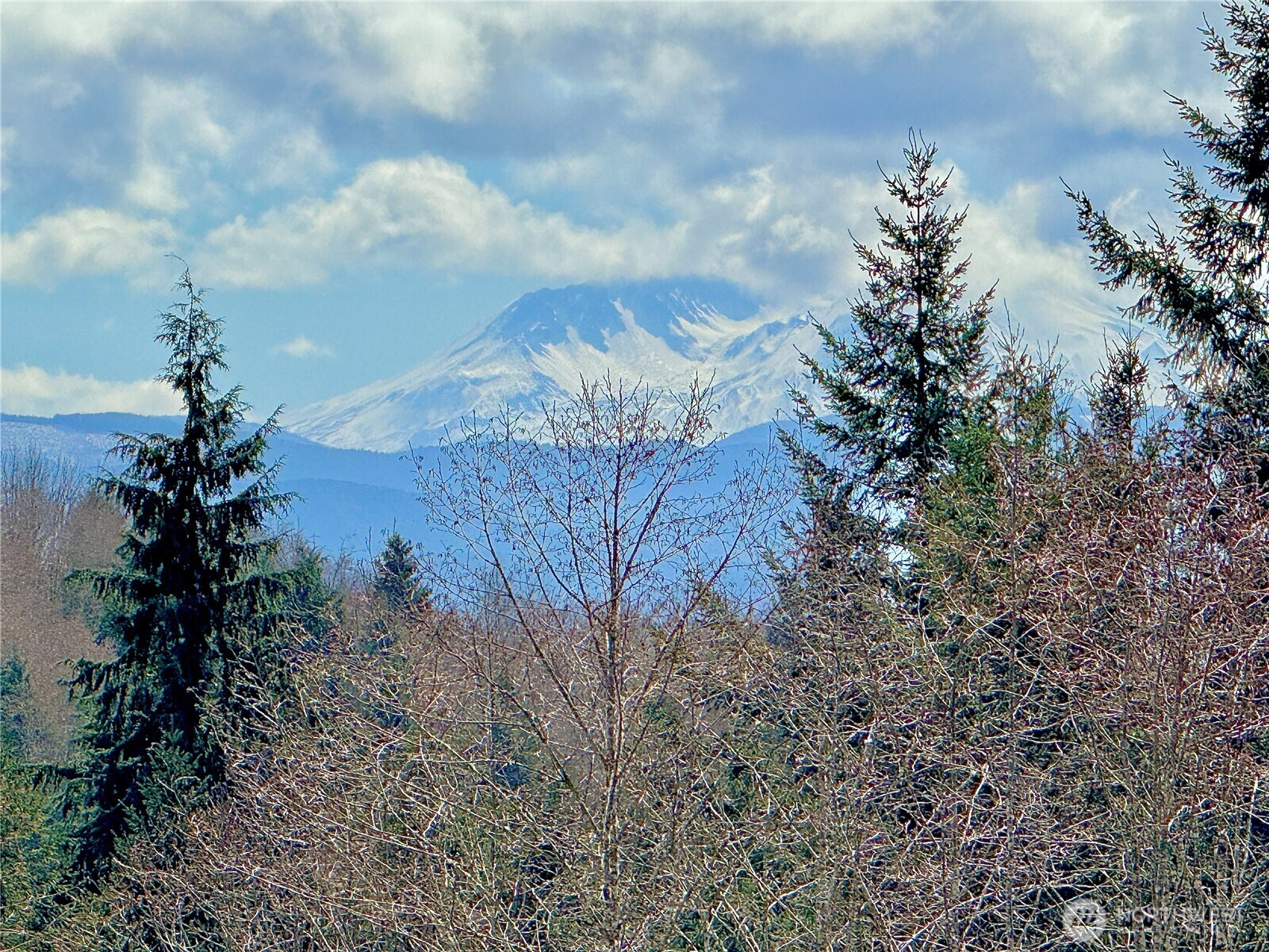 418 August Road , Onalaska, WA 98570