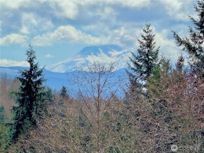 418 August Road , Onalaska, WA 98570 - Photo 12